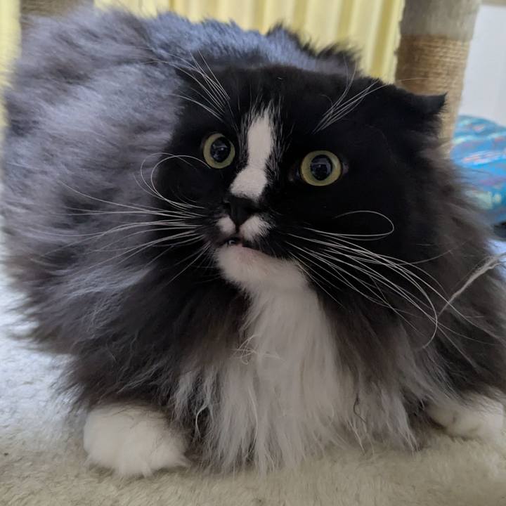 675d21e0 8838 4f69 b628 9e4e30b39b19 1764329809739