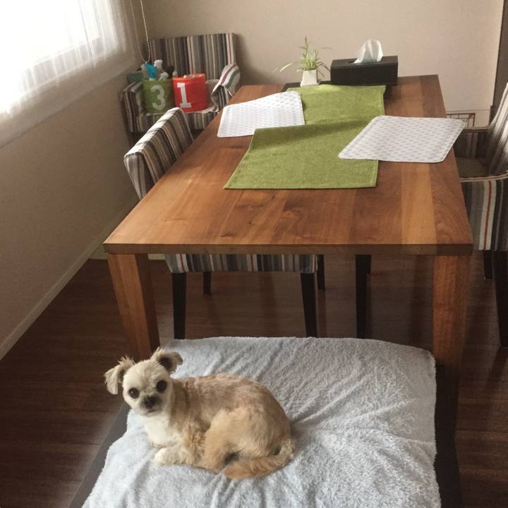 675d4753 fed0 469d 869d 0122924ed275 1560067785318