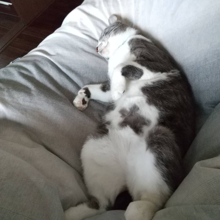 675d70d3 799c 4462 a823 16540964cb83 1618361431525