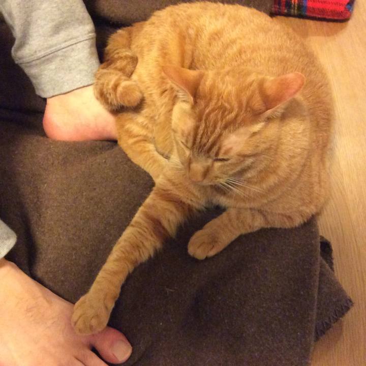 675d77c0 07f1 451d 8fb3 b1fe4df1e2f0 1530183078498