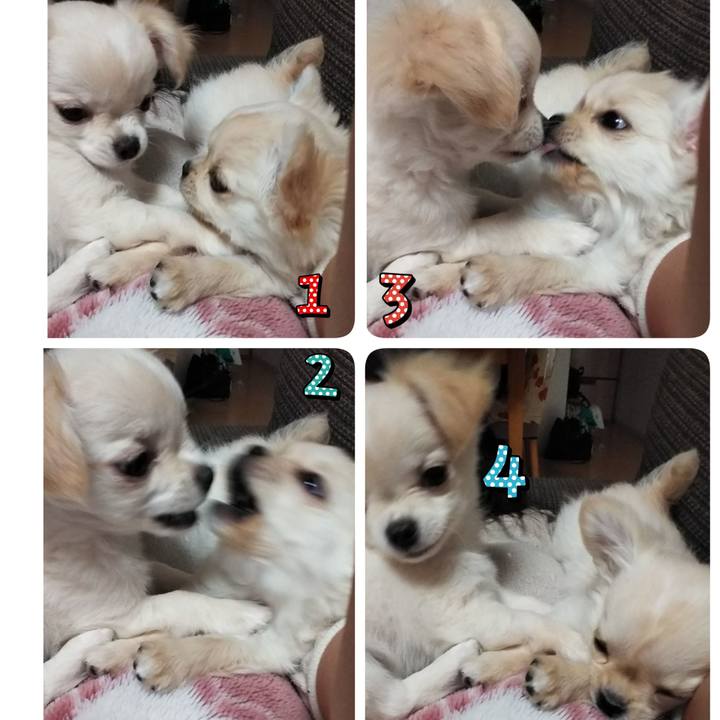675d7de1 e383 4021 8f02 8ff0527bbfa3 1545226563406