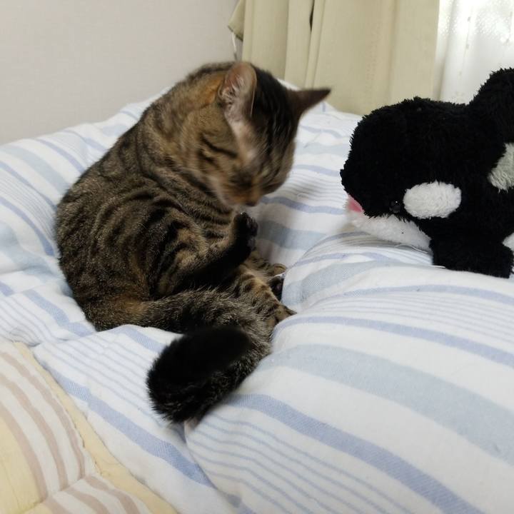 675d9faa b141 47c0 96bd 9ee02260ce6f 1561498112306