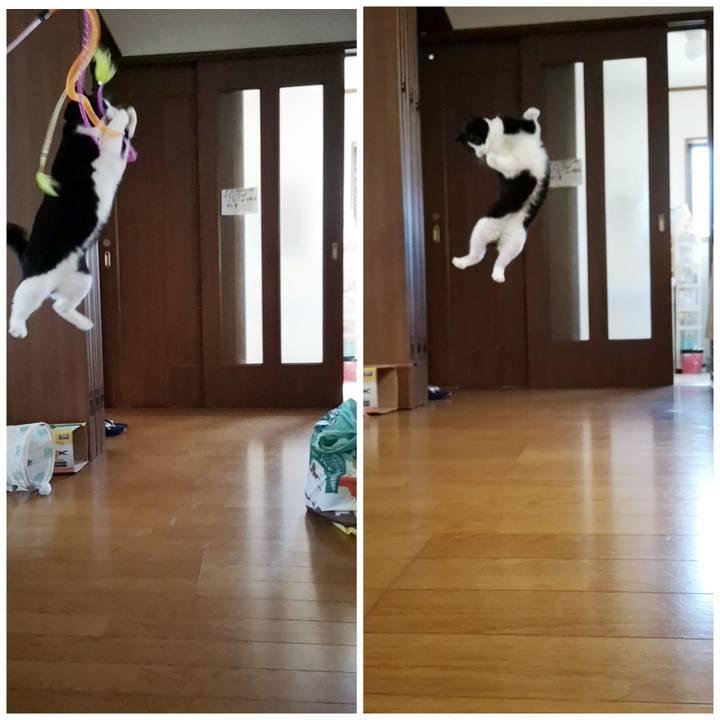 675ddf2b 584b 44ed bee3 1619d7284cae 1587877233389