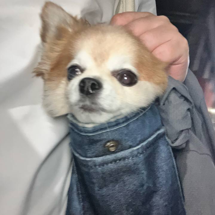 675e1880 5112 48a8 adaf e1387db3c85d 1753437633988