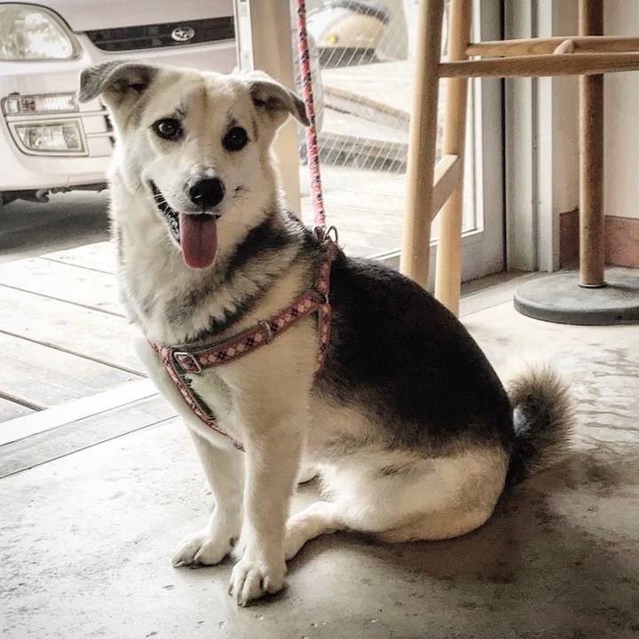 675e859b e34f 4710 8b8f 860208c25305 1524521572523