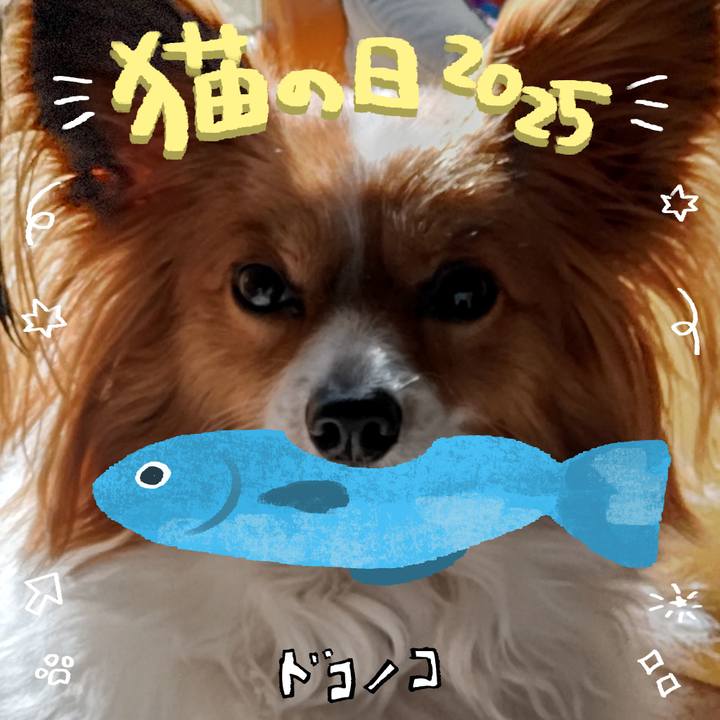 675ebbd3 3296 4b8d 9ed6 f9bc26733a13 1740207285346