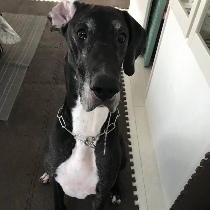 675ec04f 8880 4c7b bf5e 4e38ac3401f6 1510700448947