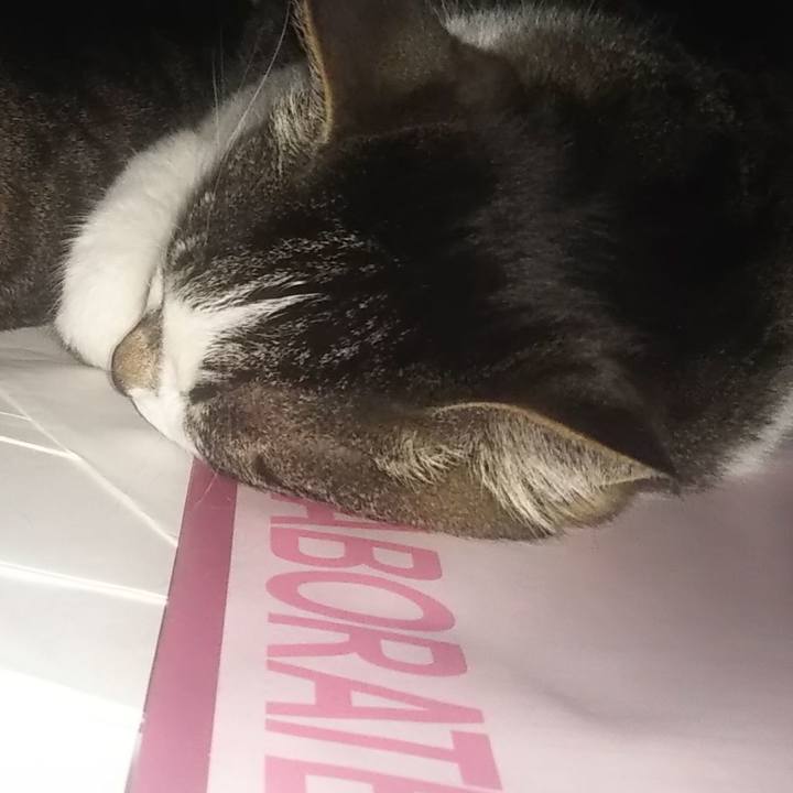 675f310b e56a 4aa6 8ccc 20c4fbcdce9d 1620293663719