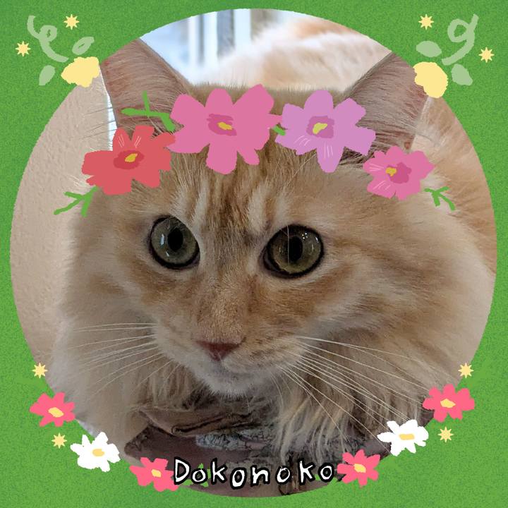 675f403f 37da 4cbb bf2d 64a1c59e5b62 1726807333210