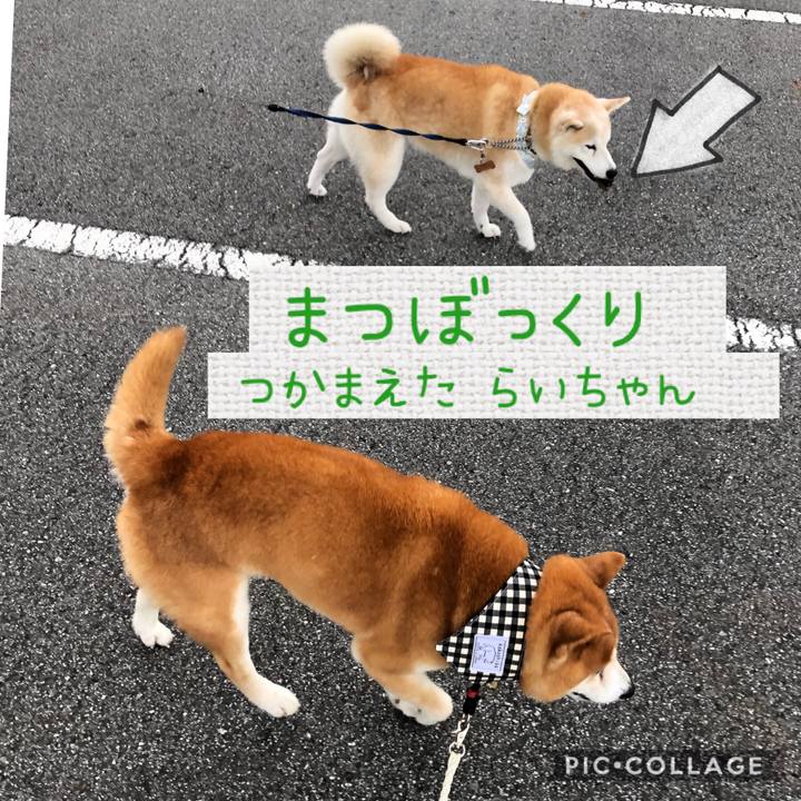 675f5d38 b3b6 4ec8 874e 9ef16330a177 1568721506516