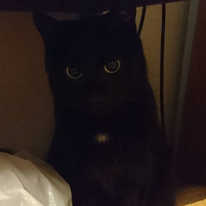 675f752f 530e 4c80 92be b36366c44f16 1556710090872