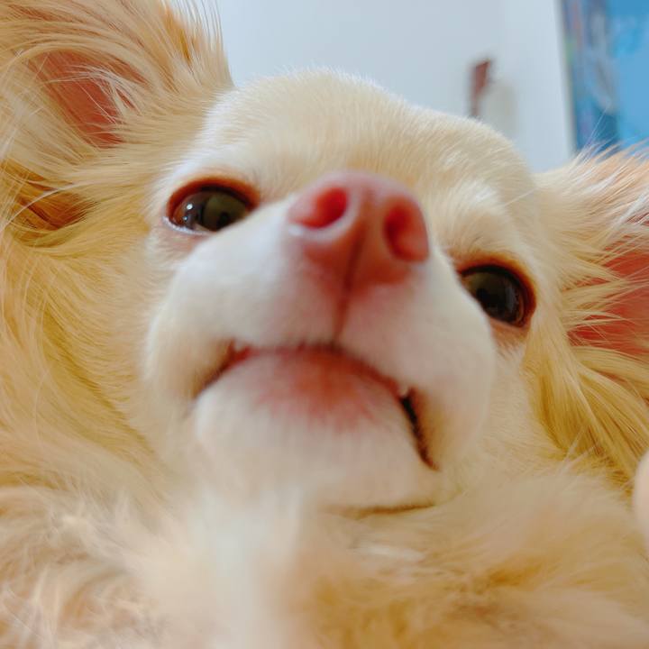 675f9e8b 1600 4266 bdd1 47e311cc12dd 1650766158957