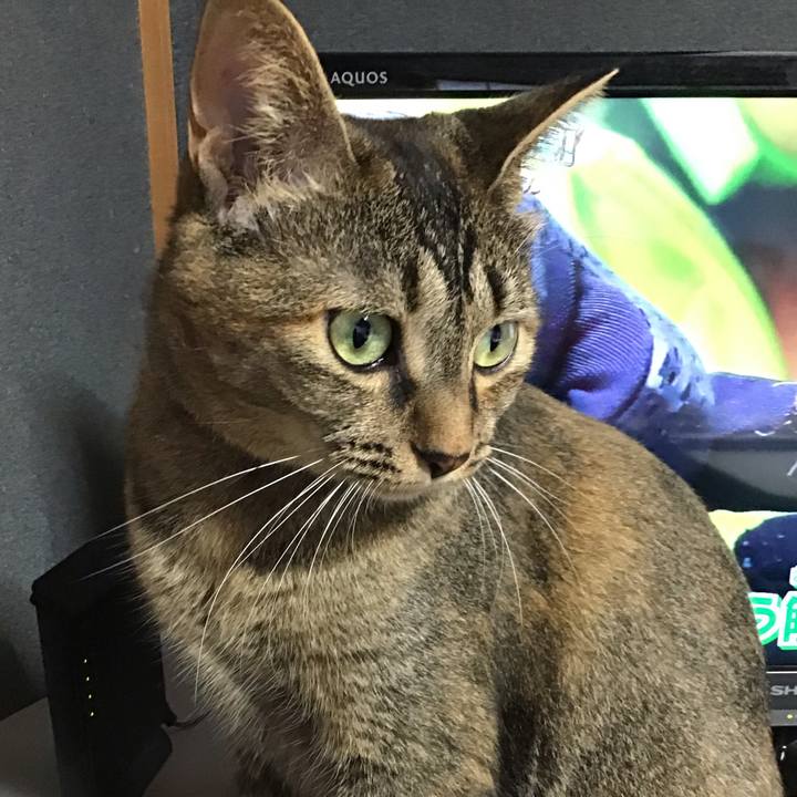 675fe74b c9c7 4133 9a79 cbdcaed86bbd 1630139964828