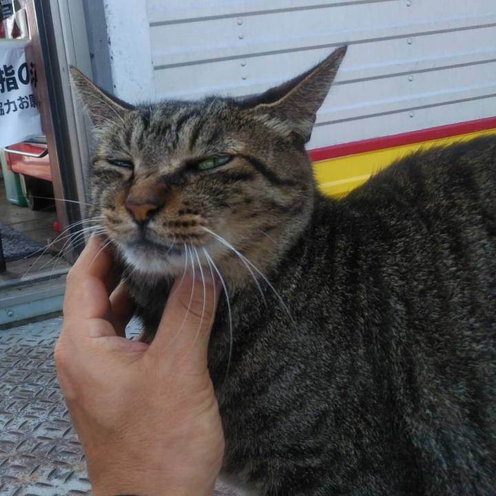 675ffddb 3a33 4d0d 89f9 222b34c34b94 1598318608799