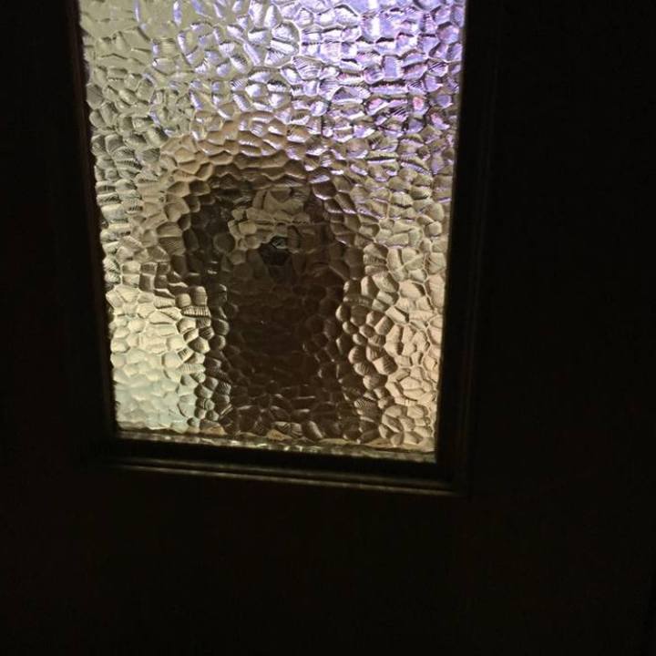 67603c7c 0577 478d 944b 5372bacf3763 1575389139875