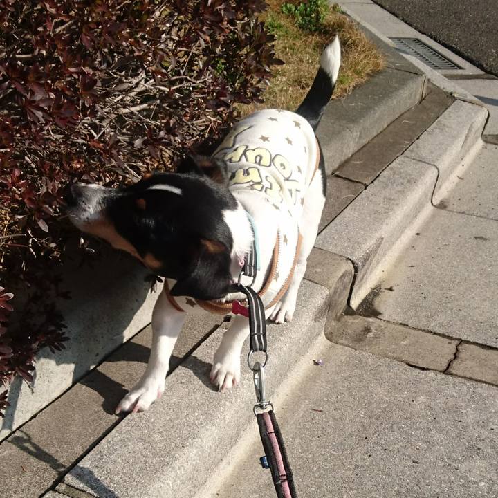 67607996 594b 485a 8b46 7068866b8de9 1551753433503