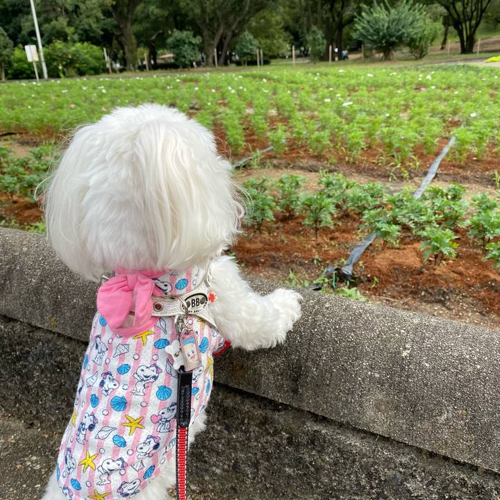 6760b399 a7c5 4476 84e1 d5d5889a7103 1631516821255