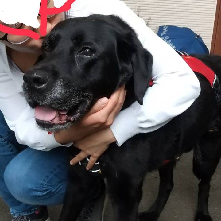 6760bdeb 24e7 42b0 a393 ed4f9011b137 1749967285702