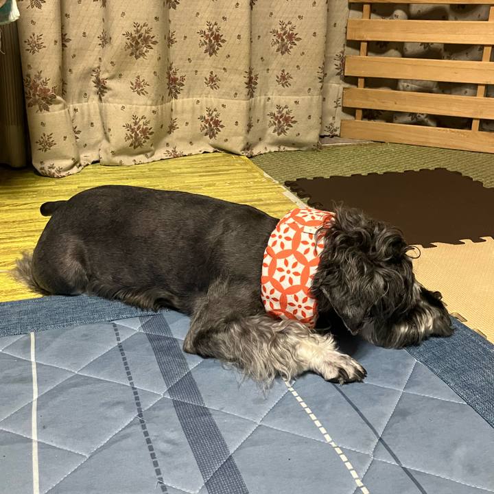 6761079c 8cf9 45a8 a77c cdcce555d169 1726827746829