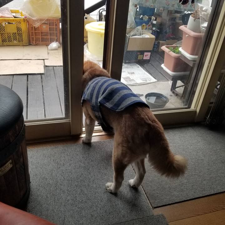 67614837 d840 4548 b4ff ca2b61d095e0 1772695010446