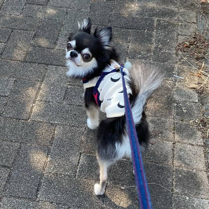 67615704 0d57 47c6 a8be d6d812a44e8e 1699025901166