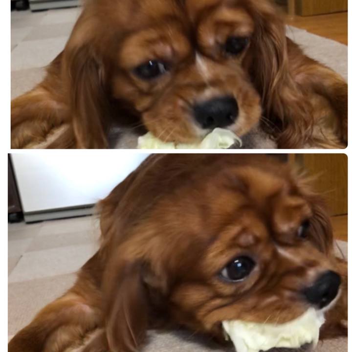 67619a49 f054 4d9b be82 943849720b0c 1566253590928