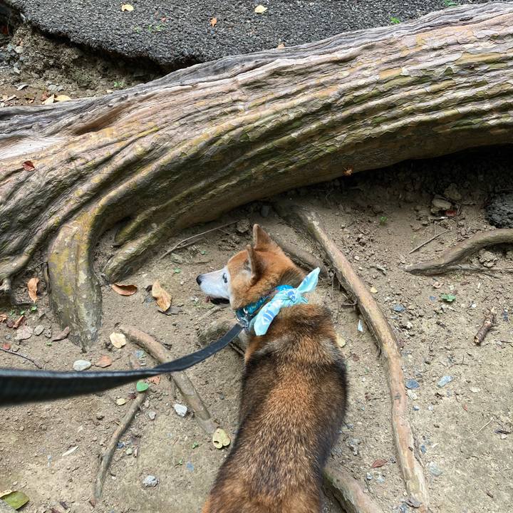 67619d74 a471 4150 8975 7948aa8f34b5 1755830323616