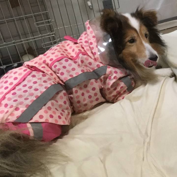 67621147 9274 4109 9ce8 fc8cc38ad4aa 1575286081382