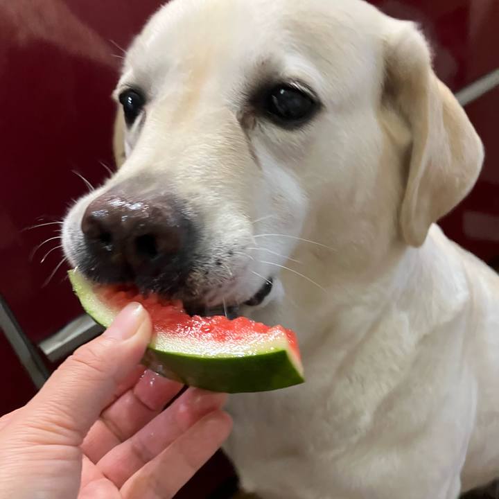 67622af7 eef1 47a0 bf7f 348a3989bb67 1659096317679