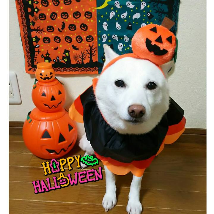 676234d8 7ed9 4eab a8b9 9f40b1358452 1572474301709