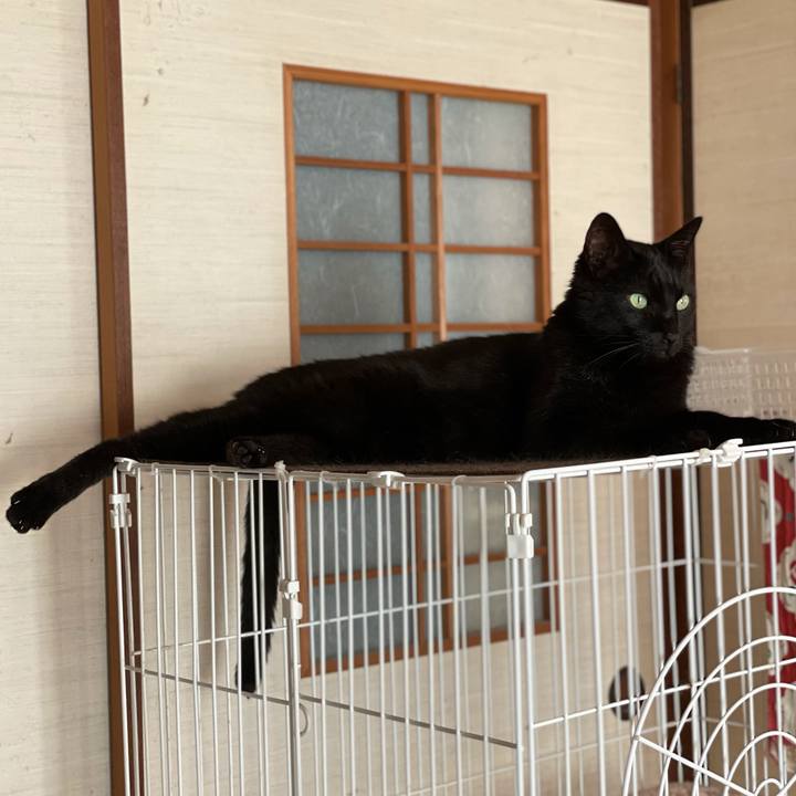 67623c28 b5f6 4309 8ab6 070dcab30395 1627691354807