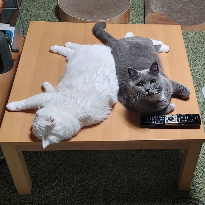 676247fb 9366 4d21 a90f 5fcf45e186de 1656965737196