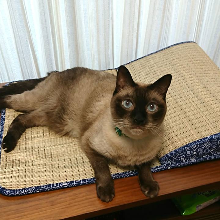 67625946 ba72 47d6 a911 806234f21aba 1532530718635