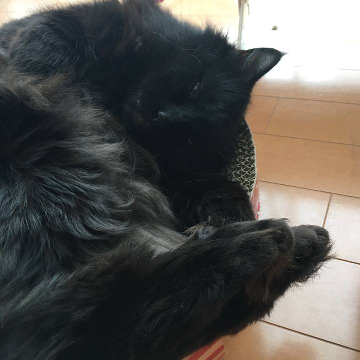 676272b1 8fec 4f16 a199 153359393b09 1548220964802