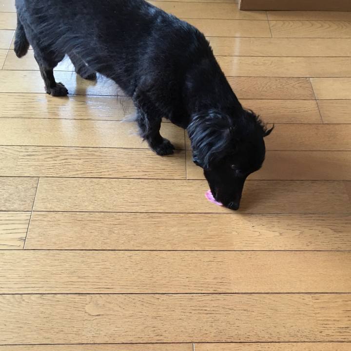 67628cc1 95e6 400a a6e8 e84c23114e43 1522964004966