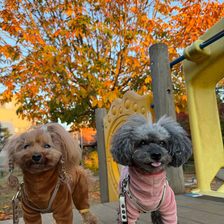 67629c04 0b76 4932 902e 1e472655c601 1764372341140