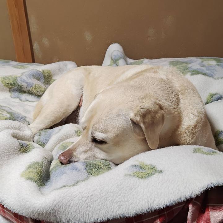 67629d87 c2c9 4eb2 b7bb 473c55745cd2 1764846801520