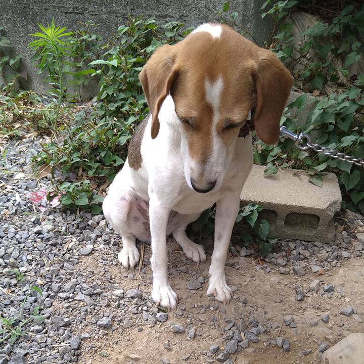 67629e4b e81f 4fba 95f1 4f7e3a540bfd 1657371642315