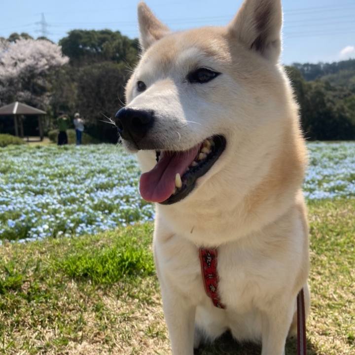 6762c7a9 a9a5 4124 8c01 14d7af5a497e 1636292819039