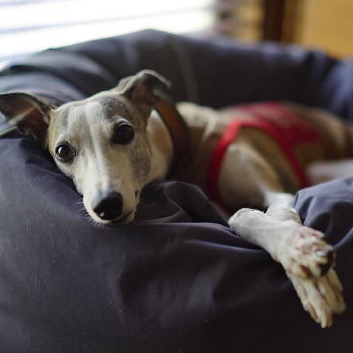 6763118c c4b0 47aa af8a fc53c4f7a06a 1510216785802