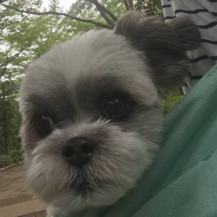 67631aeb 4bb0 4c7a 8f88 f63f3fb3378c 1528251621870