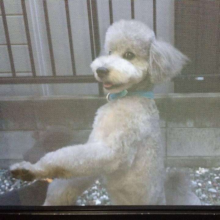 6763760a 70a2 46f9 9536 617f1dd33691 1771244426753