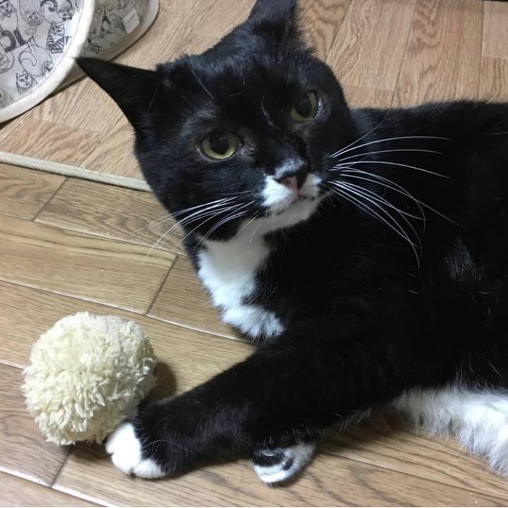 6763916d 0391 47f1 b40b 288f85780e10 1652782026434