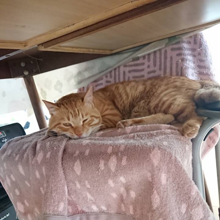 67639c14 910b 49e5 8bfc 9a3767002f64 1652088496037