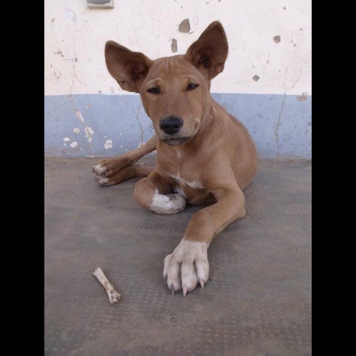 6763e014 ff5c 4a6c 92c2 7f2ef0014f7a 1541668823520