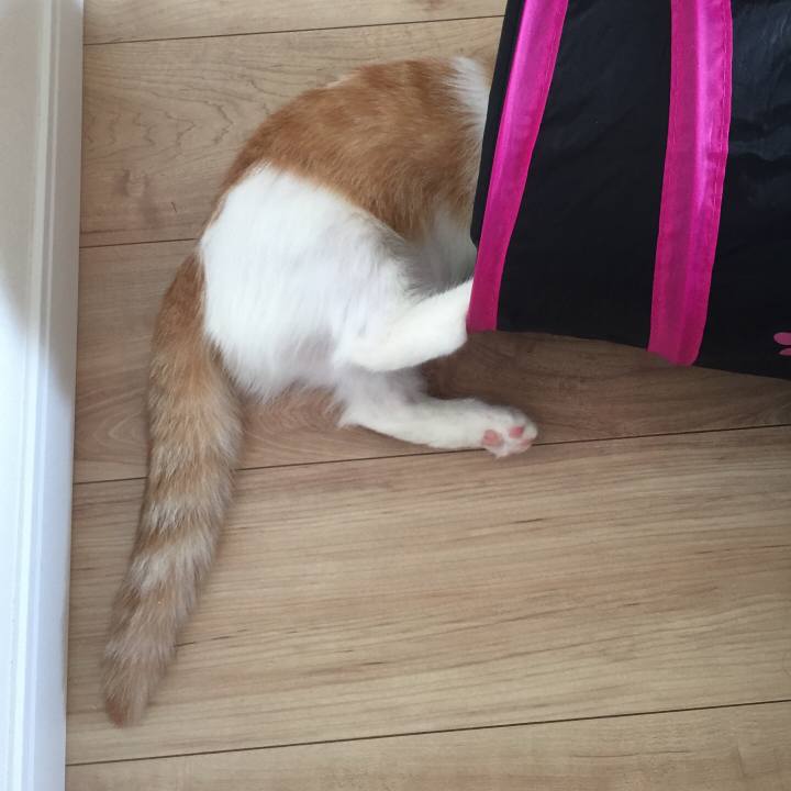 67640e33 1f47 4f07 8515 04f7fb8d5595 1508979258126