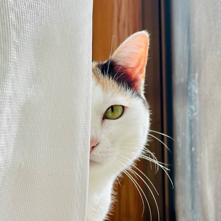 6764195e 16f8 4e19 b600 cf8b84e1d704 1619313483329