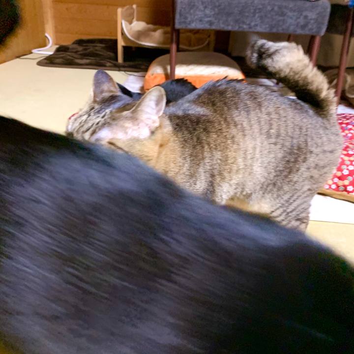 67641a5d ca27 4239 982c 1f5f7e6c36ca 1587970218151