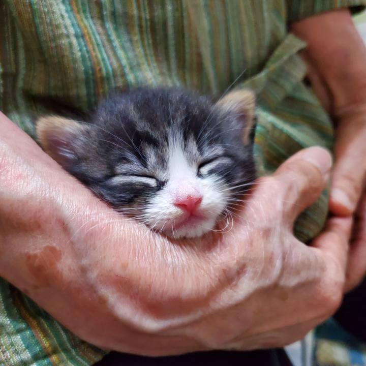 6764629d ac75 427b 878f cc65141510ca 1623635853622