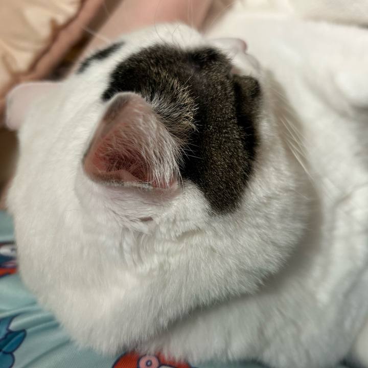 67649358 2a5e 4a97 abb8 d19a33f8f3c6 1761667327848